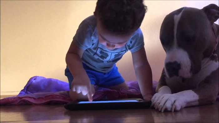 Psić pokušava djetetu dati do znanja da je on puno zabavniji od tableta s kojim se igra