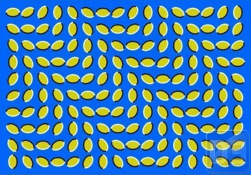 il´ sam previše popio..il´ se nisam probudio..:))