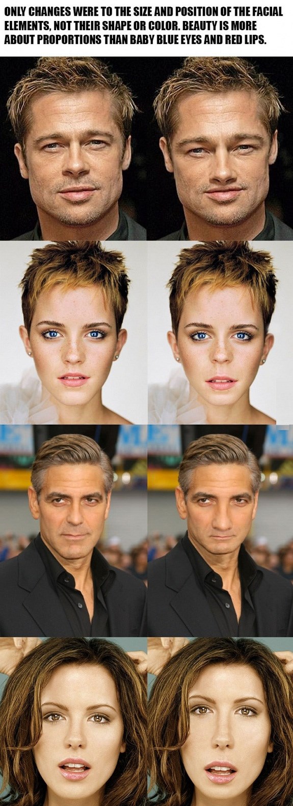 Ljepota je u proporcijama