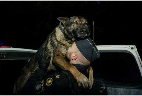 još smo jednu akciju preživjeli, bravo kolega..