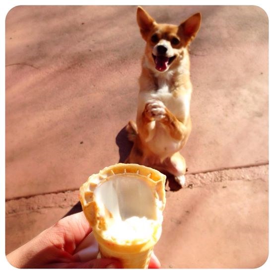 A kad te lijepo molim, daj mi svoj cijeli sladoled!