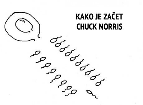 Kako je začet Chuck Norris