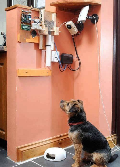 Kad informatičar složi stroj za hranjenje psa preko Twittera