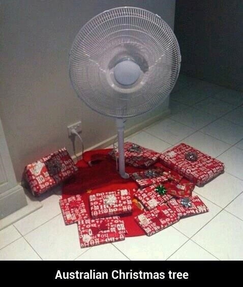 Australsko božićno drvce