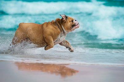 Umislio je da je morska sirena i živi svoj san