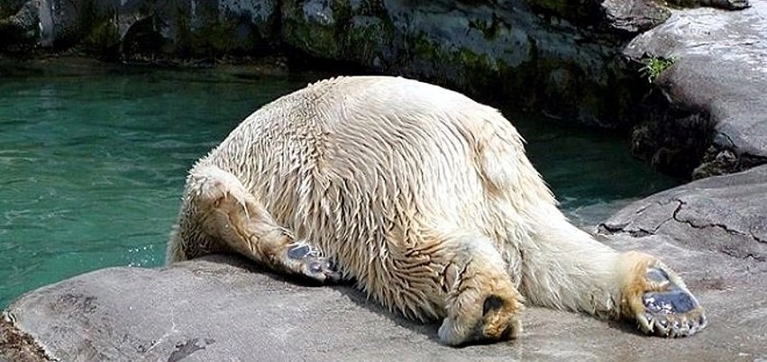 Još jedan ponedjeljak