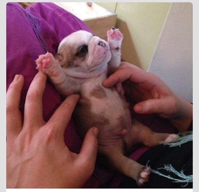 Uvijek je pravo vrijeme za maženje