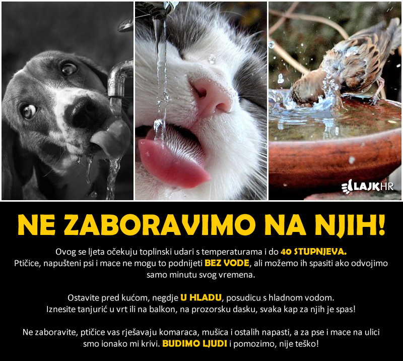 Ne zaboravimo na njih, umirat će bez vode!