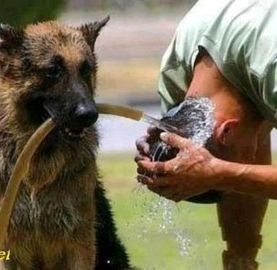 mala pomoć prijatelja..