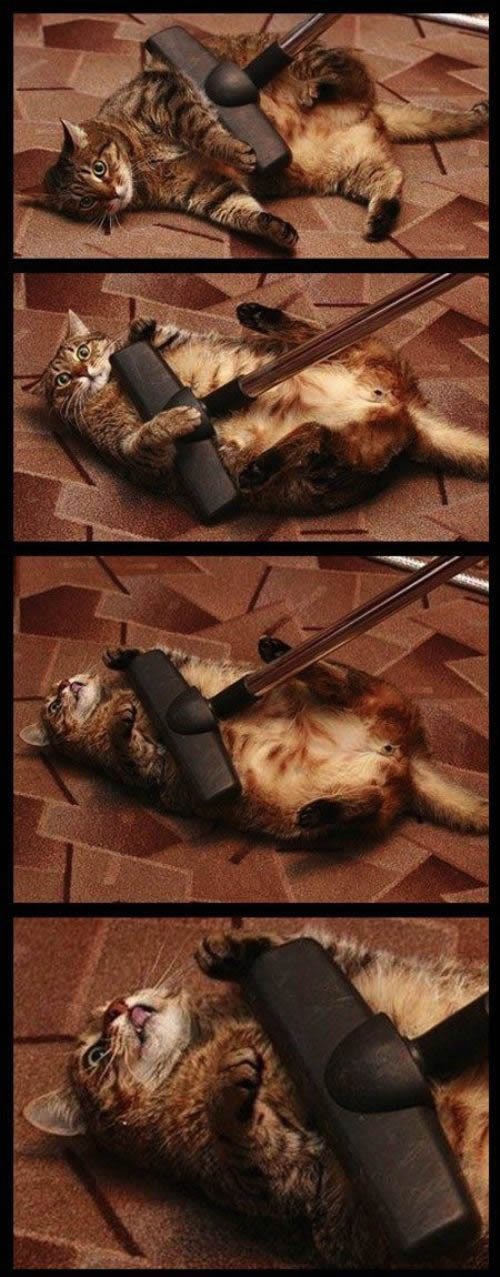 Mili bože užitka li kako sam čist!