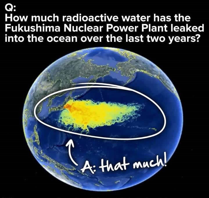 Znate li koliko je nuklearka Fukushima zagadila Tihi ocean?