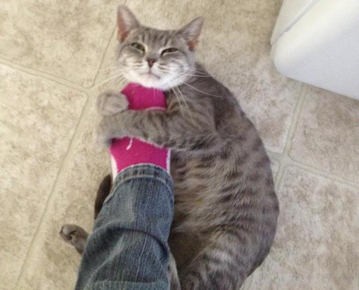 Ma kaj ti je, kakav posao, ne ideš ti nikud, češkaš me doma!