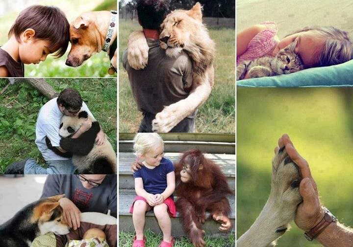 Ljubav prema svim živim bićima: To je pravi način postojanja