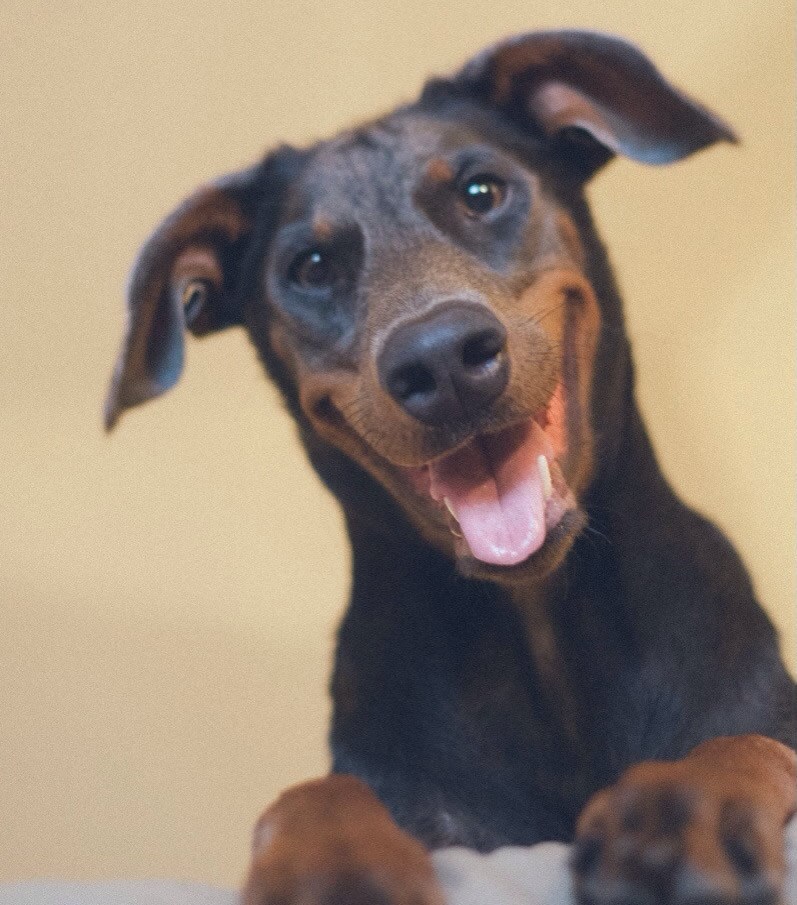 Ti si meni prijatelj, a ja tebi?