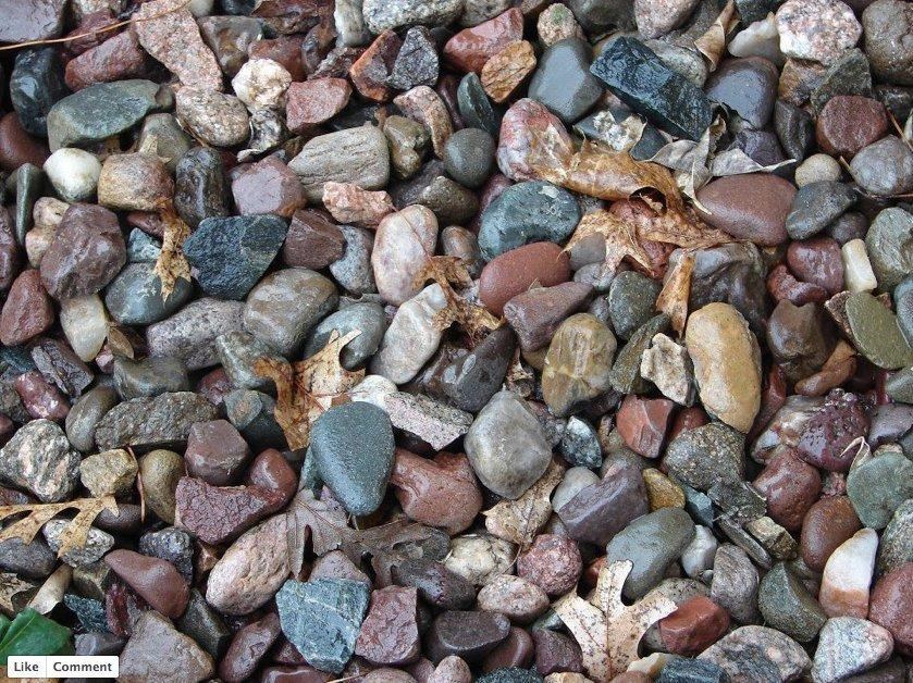 TEST ZAPAŽANJA: Svaka čast ako uspjete pronaći žabu na slici