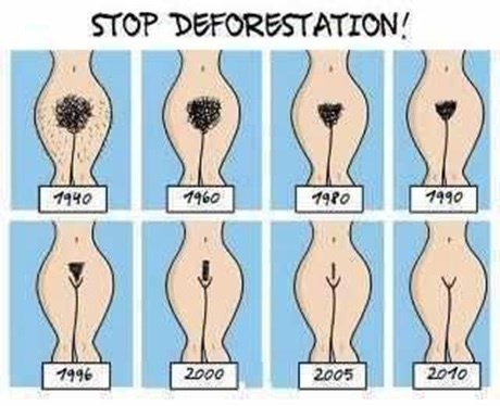 Ženske intimne "frizurice" s desetljećima