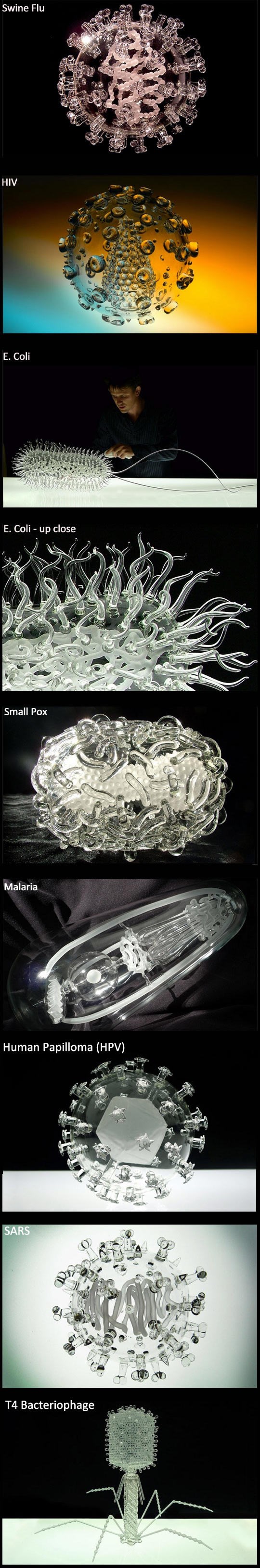 Kako izgledaju virusi: Staklene skulpture gamadi što ubija