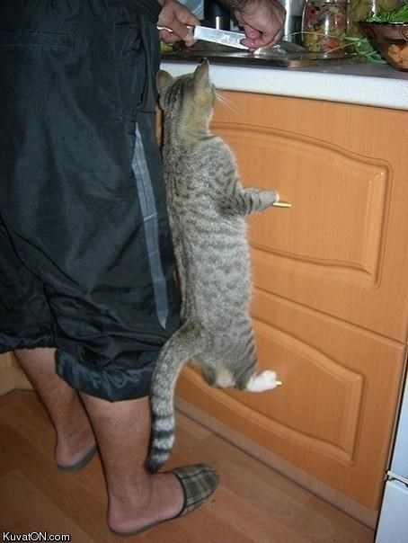 pa joj reci da nema za nju..:))