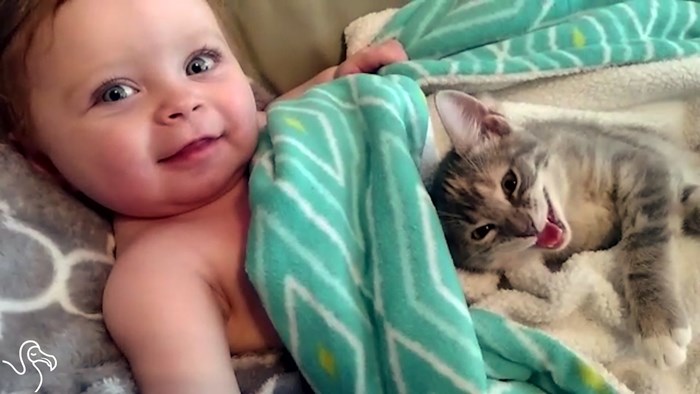 VIDEO Ovo je nešto najslađe što ćete danas vidjeti, beba se ne razdvaja od svoje mace!