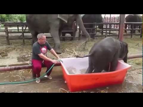 VIDEO: Ono kad popiješ malo previše, a moraš u kadu