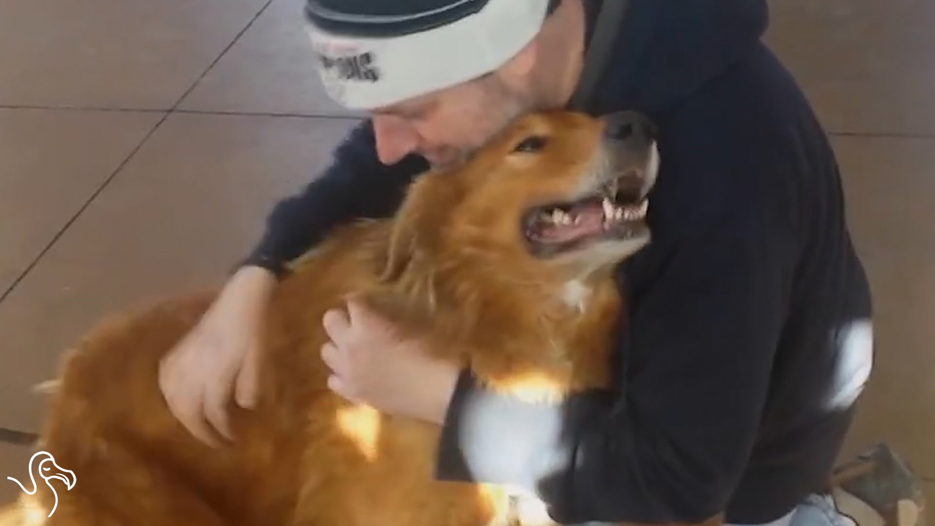 VIDEO: Dokaz da pas nikad ne zaboravlja svoju obitelj