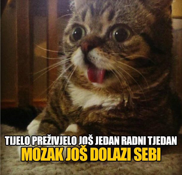 Preživio si radni tjedan - čestitamo!