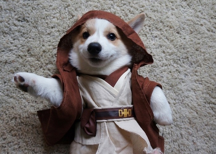 Najslađi među Jedi vitezovima