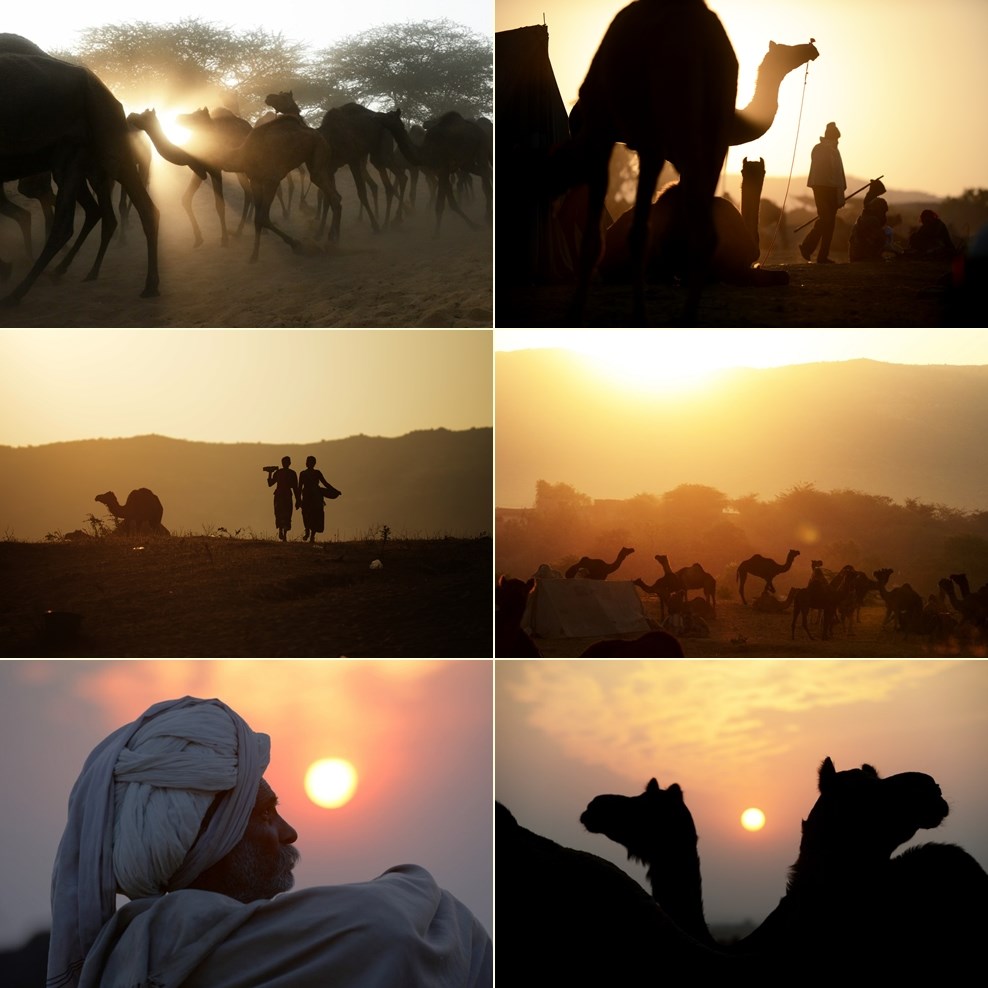 Bajkoviti suton u indijskoj pustinji