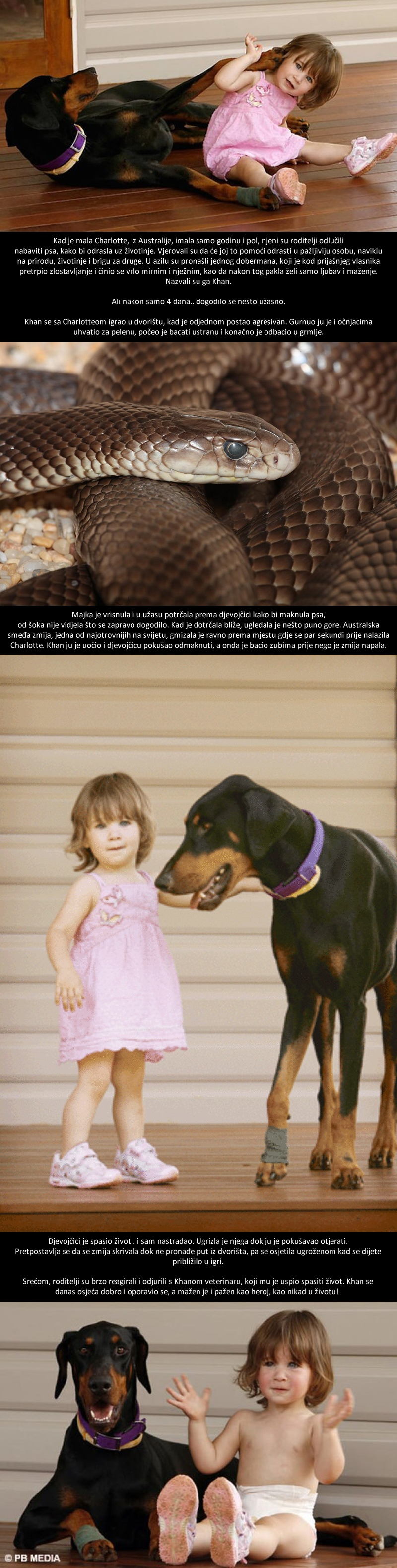 NOĆNA MORA RODITELJA: Doberman im zgrabio kćer, a onda su shvatili užasnu istinu!