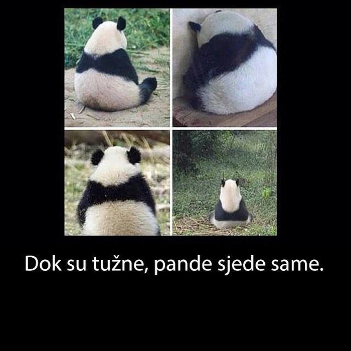 pa eto..ako vidite koju da je usamljena ne glumite stranca..