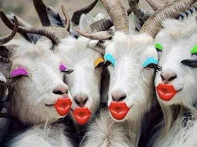 Sredile se za Facebook :)