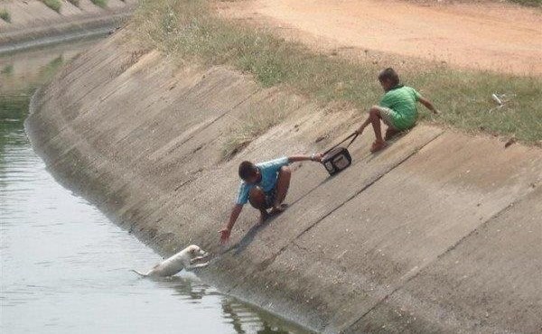 Ovo treba vidjeti svako dijete: Ljudska dobrota