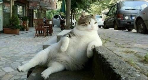 Nakon što je proglasila grad svojim, ne zna kud sa sobom