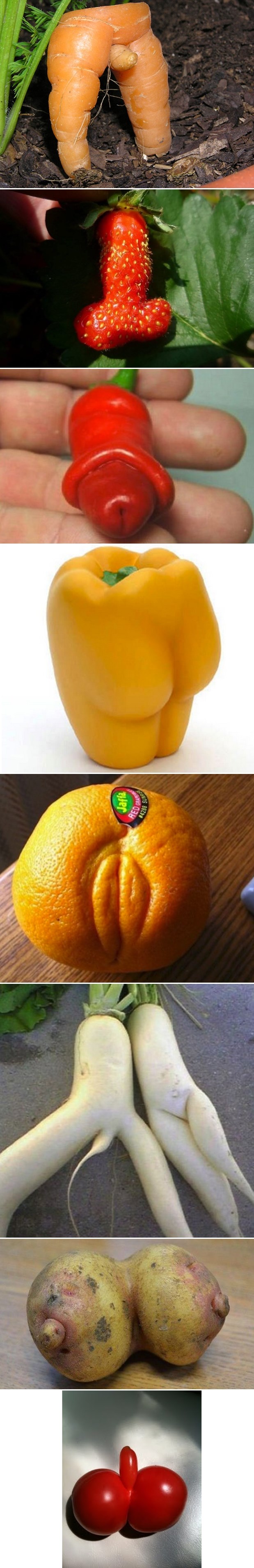 Galerija: "Prosto" voće i povrće nema srama