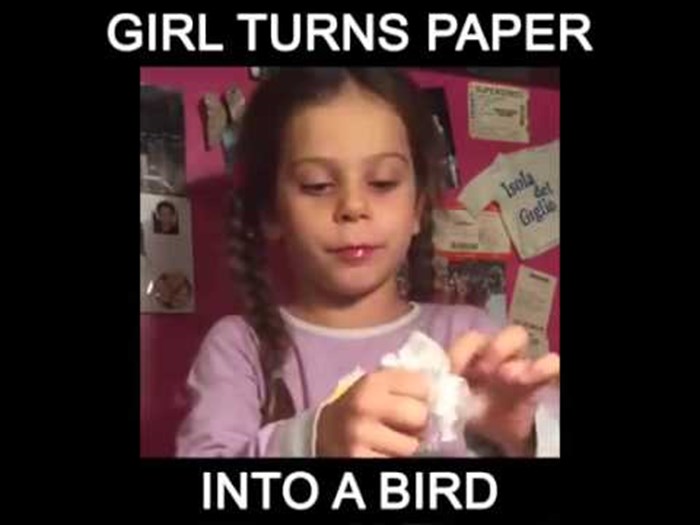 VIDEO: Savršen trik - iz papira stvorila...