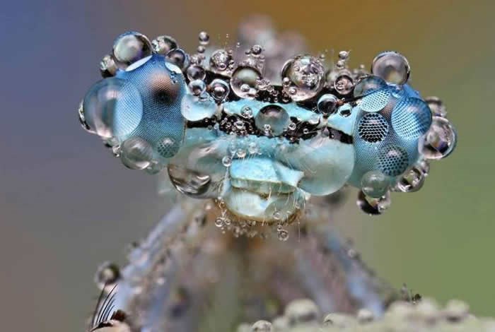 Priroda je najkreativniji umjetnik