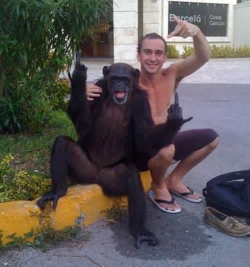 Izraz lica govori da totalno kuži što radi