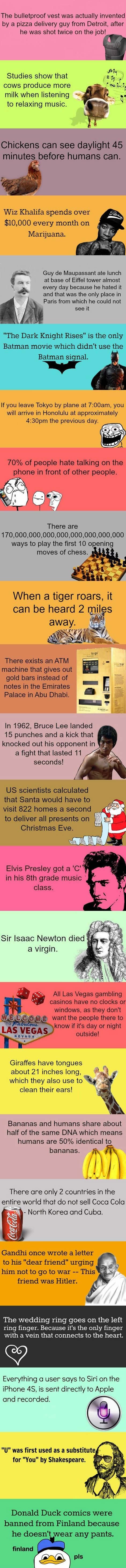 Jeste li znali da 50 posto DNA dijelite s - bananom?