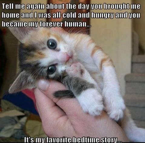 Bilo joj je hladno i bila je gladna, ali naišao je - čovjek