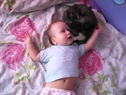 Preslatka maca pokušava umiriti uplakanu bebu