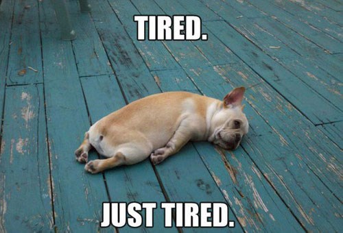 Konačno vikend: Padni u nesvijest i spavaj do ponedjeljka