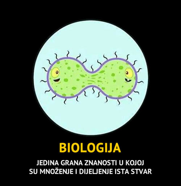 Ako mrziš matematiku, biologija ti je spas