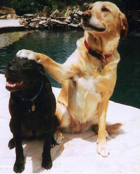 E, frende, daj mi malog stavi za direktora i neku plaćetinu