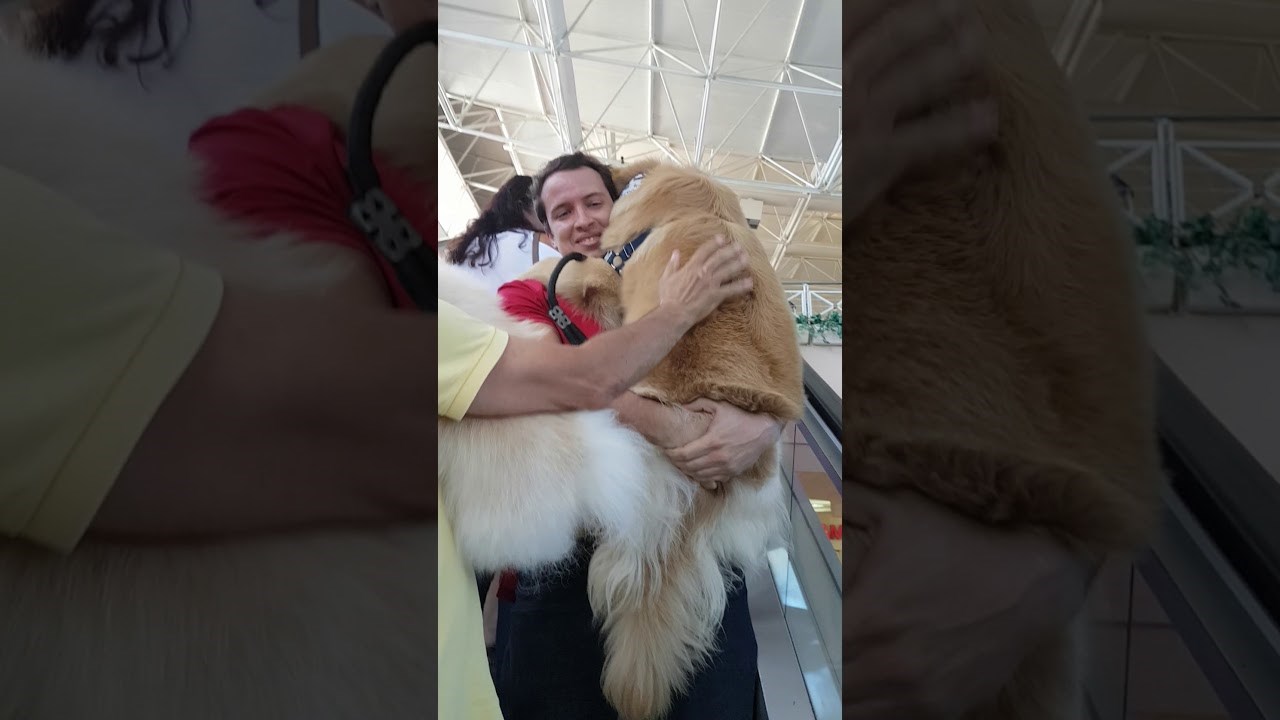 VIDEO Bojažljivi pas ne želi se popeti pokretnim stepenicama 