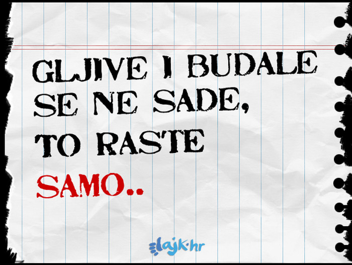 Najveća istina