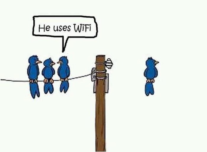 Umišljena ptica glumi veličinu jer si ima Wireless