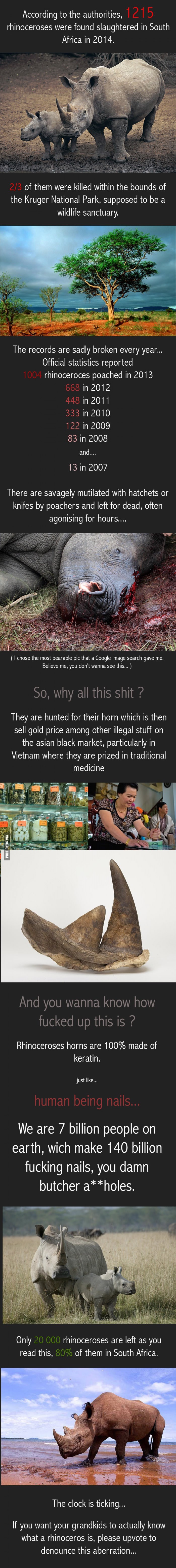 Galerija: Sramota ljudskog roda