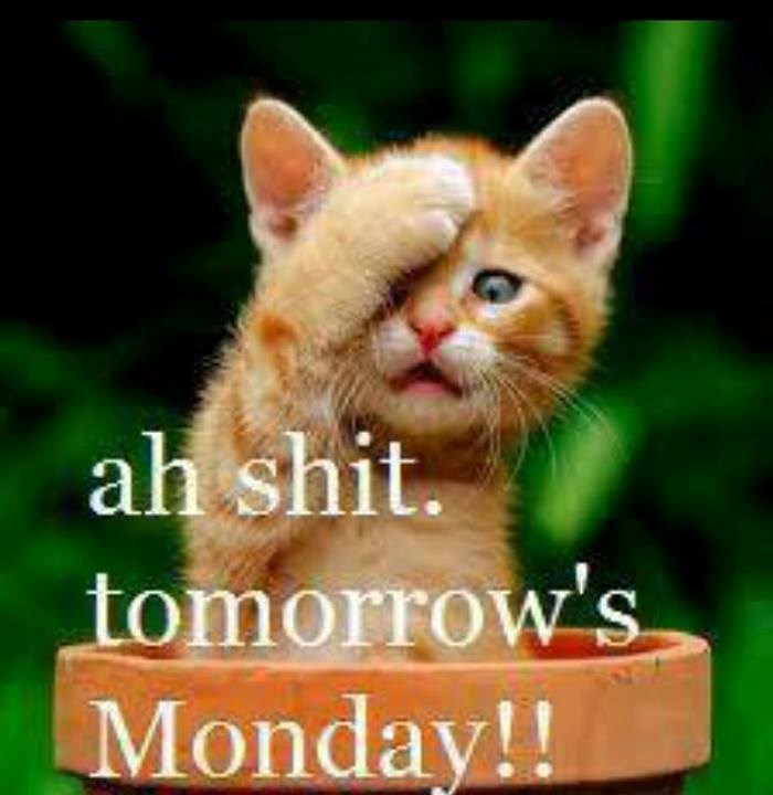 Macu ranom zorom šokirala vijest o ponedjeljku