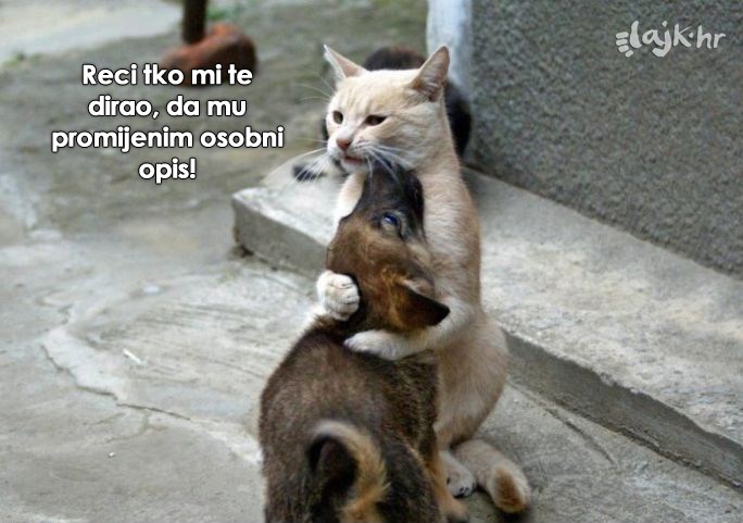 Superheroji među ljubimcima