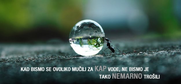 Samo jedno biće zbog lijenosti ubija vlastiti dom